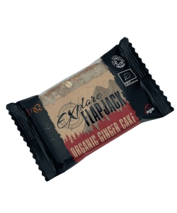 Torq Explore Orangic Ginger Cake Flapjack